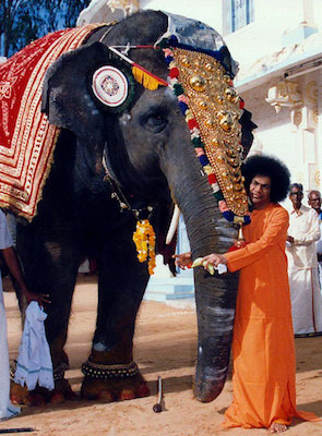 Beloved Bhagawan Sri Sathya Sai Baba